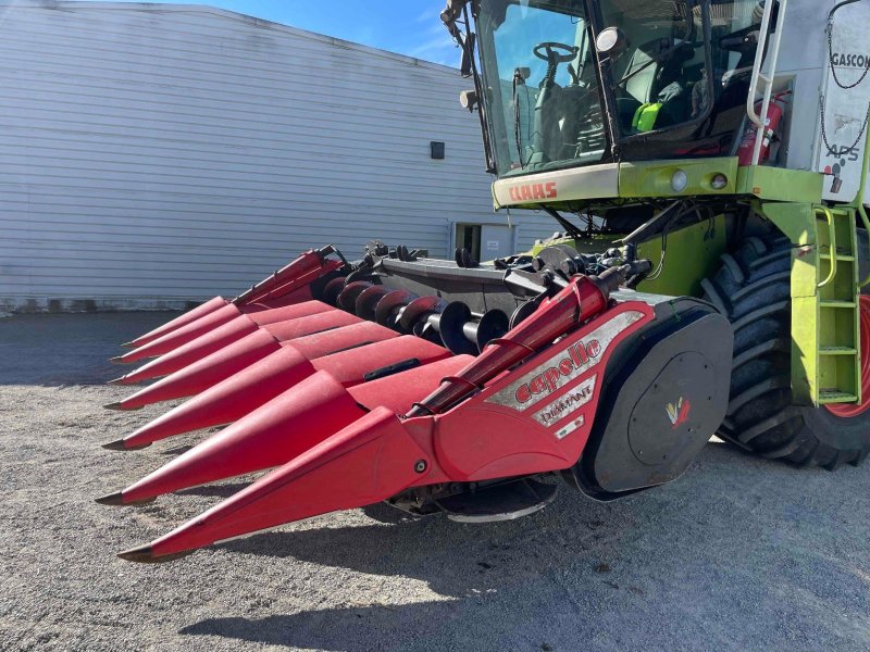 Maispflückvorsatz vrste Capello DIAMANT HS6, Gebrauchtmaschine v ST ELIX THEUX (Slika 1)