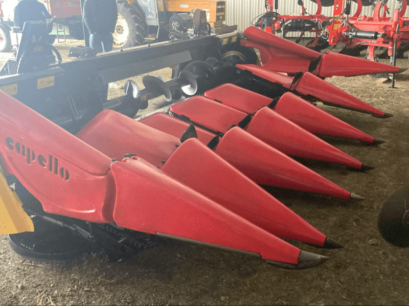 Maispflückvorsatz от тип Capello QUASAR 6 RANGS, Gebrauchtmaschine в TREMEUR
