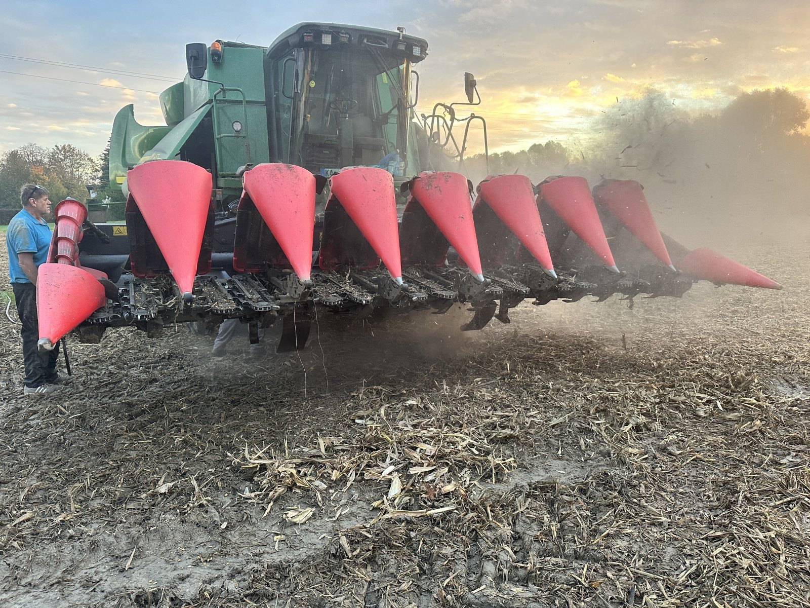 Maispflückvorsatz of the type Capello Quasar 8, Gebrauchtmaschine in Huttenheim (Picture 3)