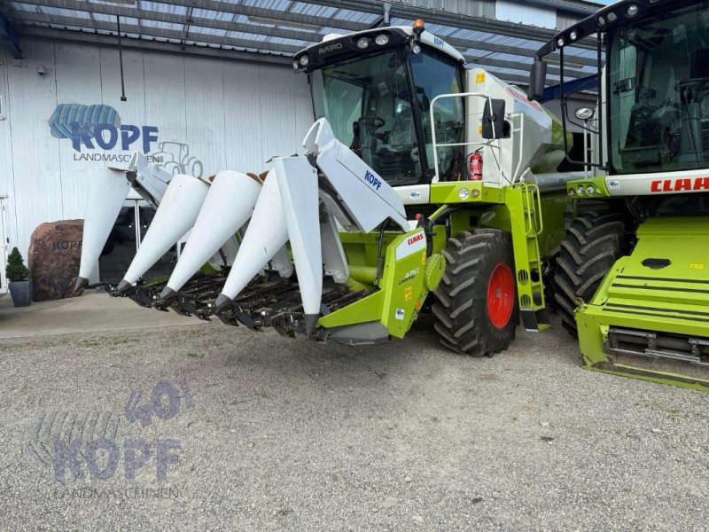 Maispflückvorsatz del tipo CLAAS Claas Conspeed 4-75 C linear, Gebrauchtmaschine In Schutterzell