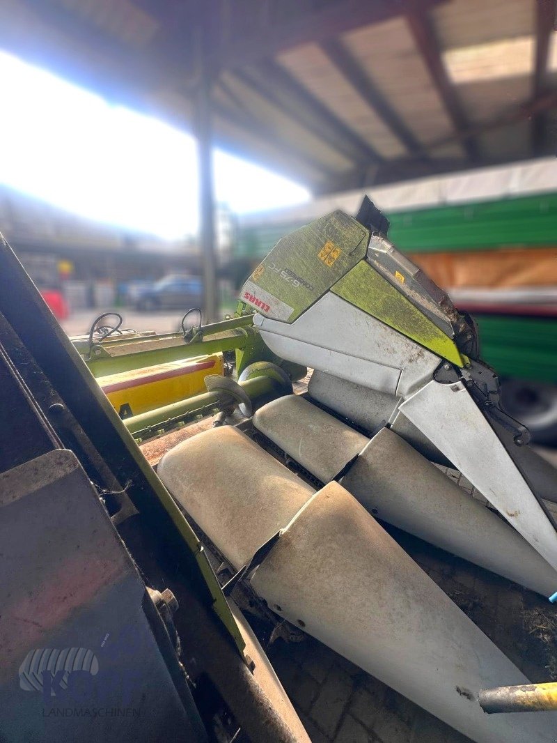 Maispflückvorsatz typu CLAAS Conspeed 6-75 FC, hydraulisch klappbar, bj 2011, 75cm, Gebrauchtmaschine v Schutterzell (Obrázek 11)