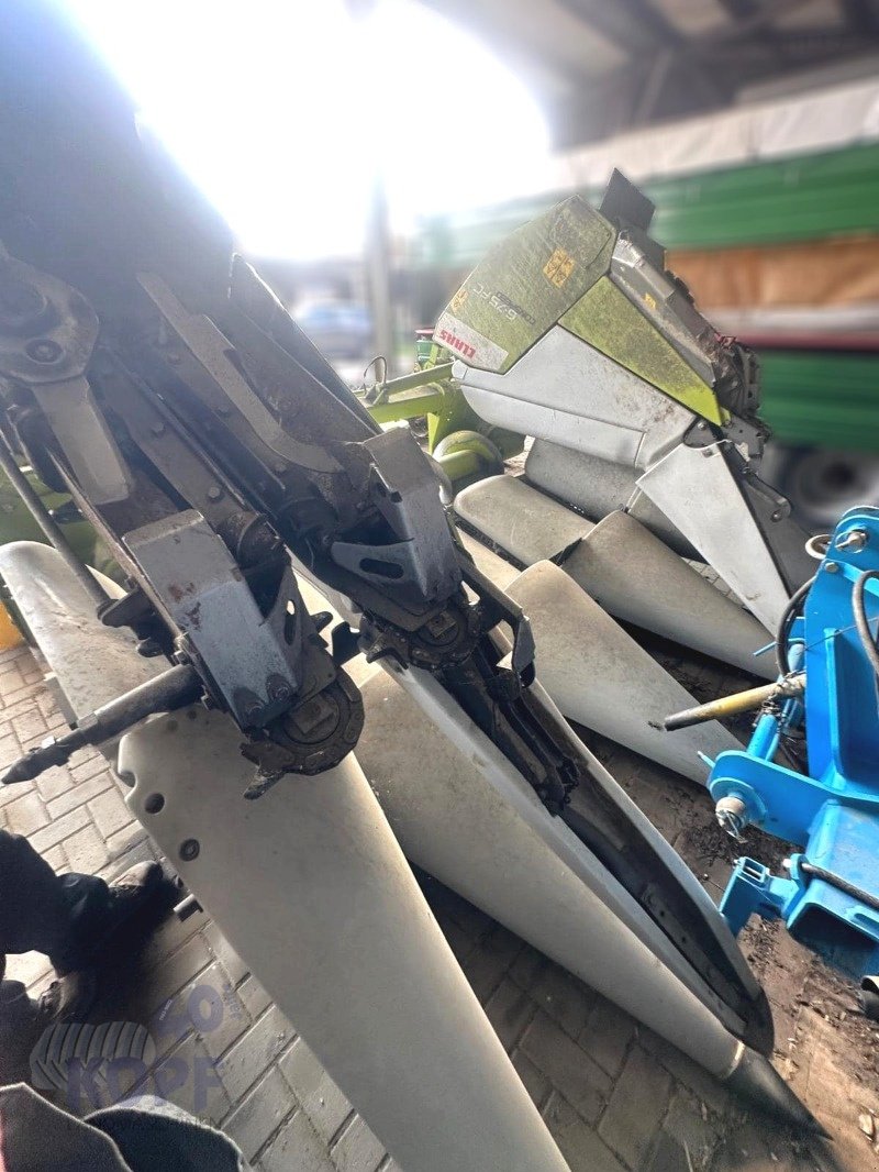 Maispflückvorsatz typu CLAAS Conspeed 6-75 FC, hydraulisch klappbar, bj 2011, 75cm, Gebrauchtmaschine v Schutterzell (Obrázek 13)