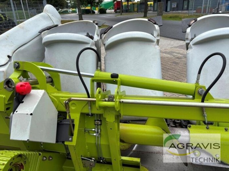 Maispflückvorsatz of the type CLAAS CONSPEED 6-75 FC, Gebrauchtmaschine in Meppen (Picture 16)