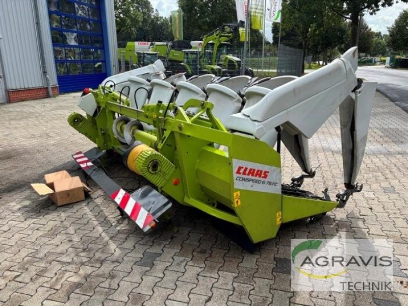 Maispflückvorsatz of the type CLAAS CONSPEED 6-75 FC, Gebrauchtmaschine in Meppen (Picture 3)