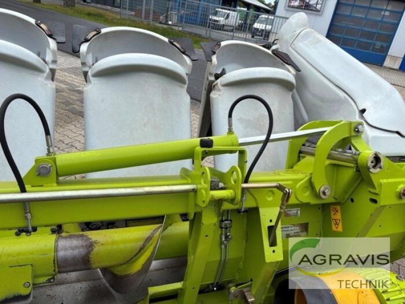 Maispflückvorsatz of the type CLAAS CONSPEED 6-75 FC, Gebrauchtmaschine in Meppen (Picture 17)