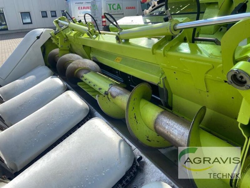 Maispflückvorsatz typu CLAAS CONSPEED 6-75 FC, Gebrauchtmaschine v Alpen (Obrázek 16)
