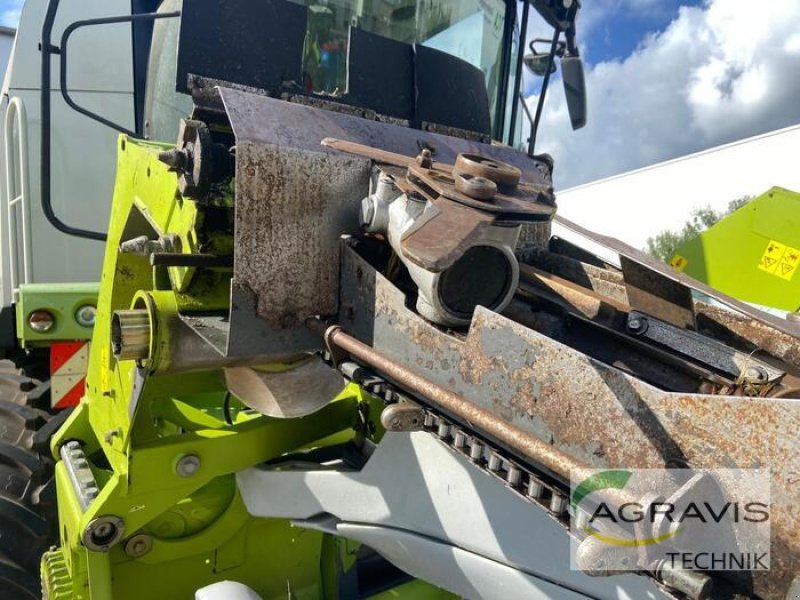 Maispflückvorsatz typu CLAAS CONSPEED 6-75 FC, Gebrauchtmaschine v Alpen (Obrázek 3)