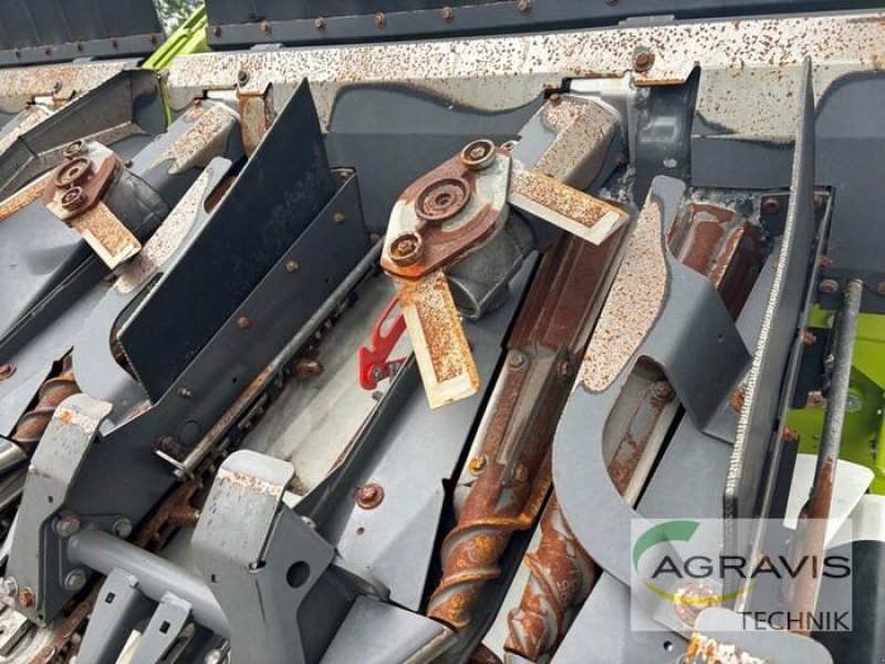 Maispflückvorsatz van het type CLAAS CORIO 8-75 FC CONSPEED, Gebrauchtmaschine in Meppen (Foto 6)