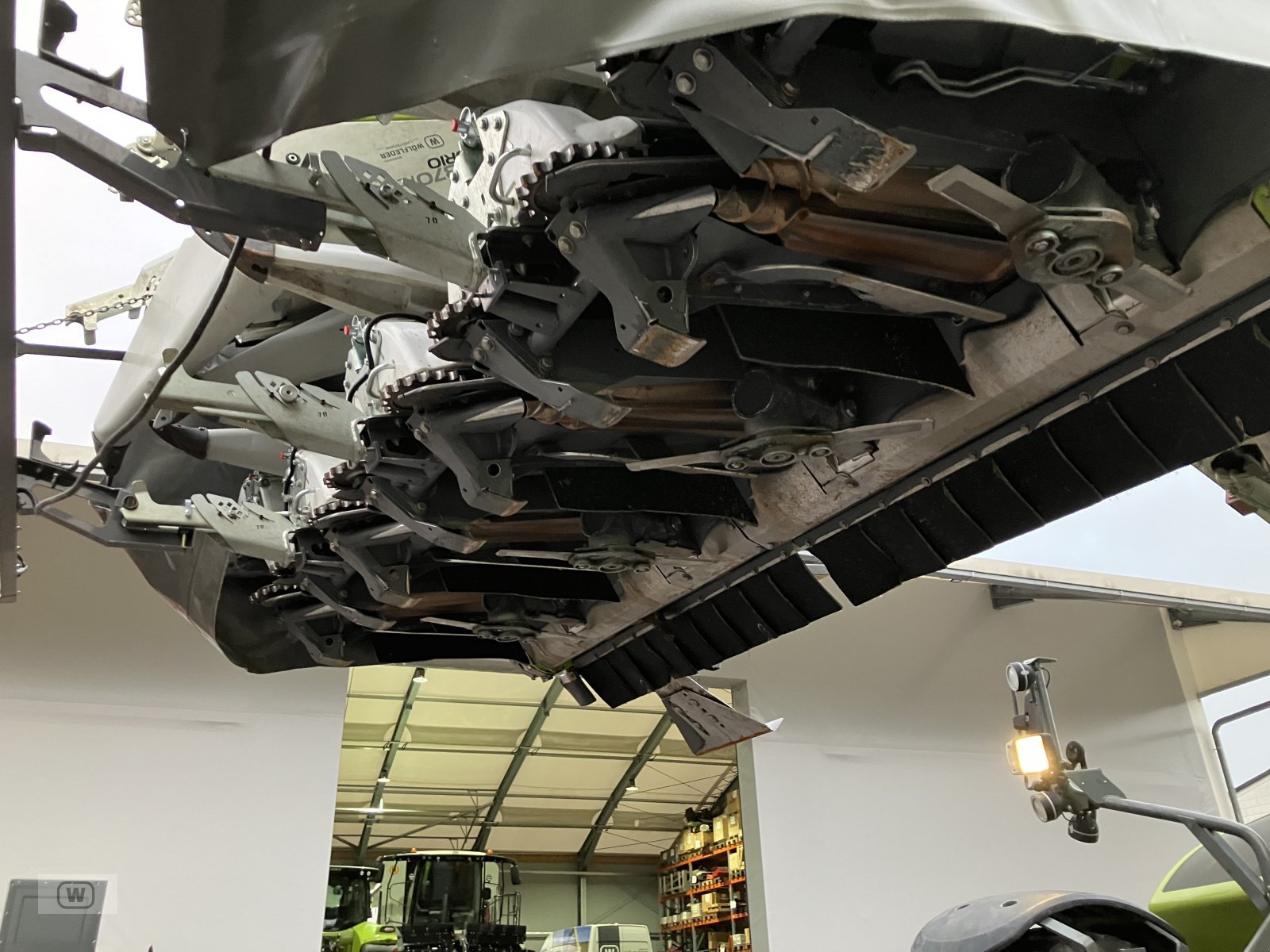 Maispflückvorsatz des Typs CLAAS Corio 870 FC Conspeed, Gebrauchtmaschine in Zell an der Pram (Bild 9)