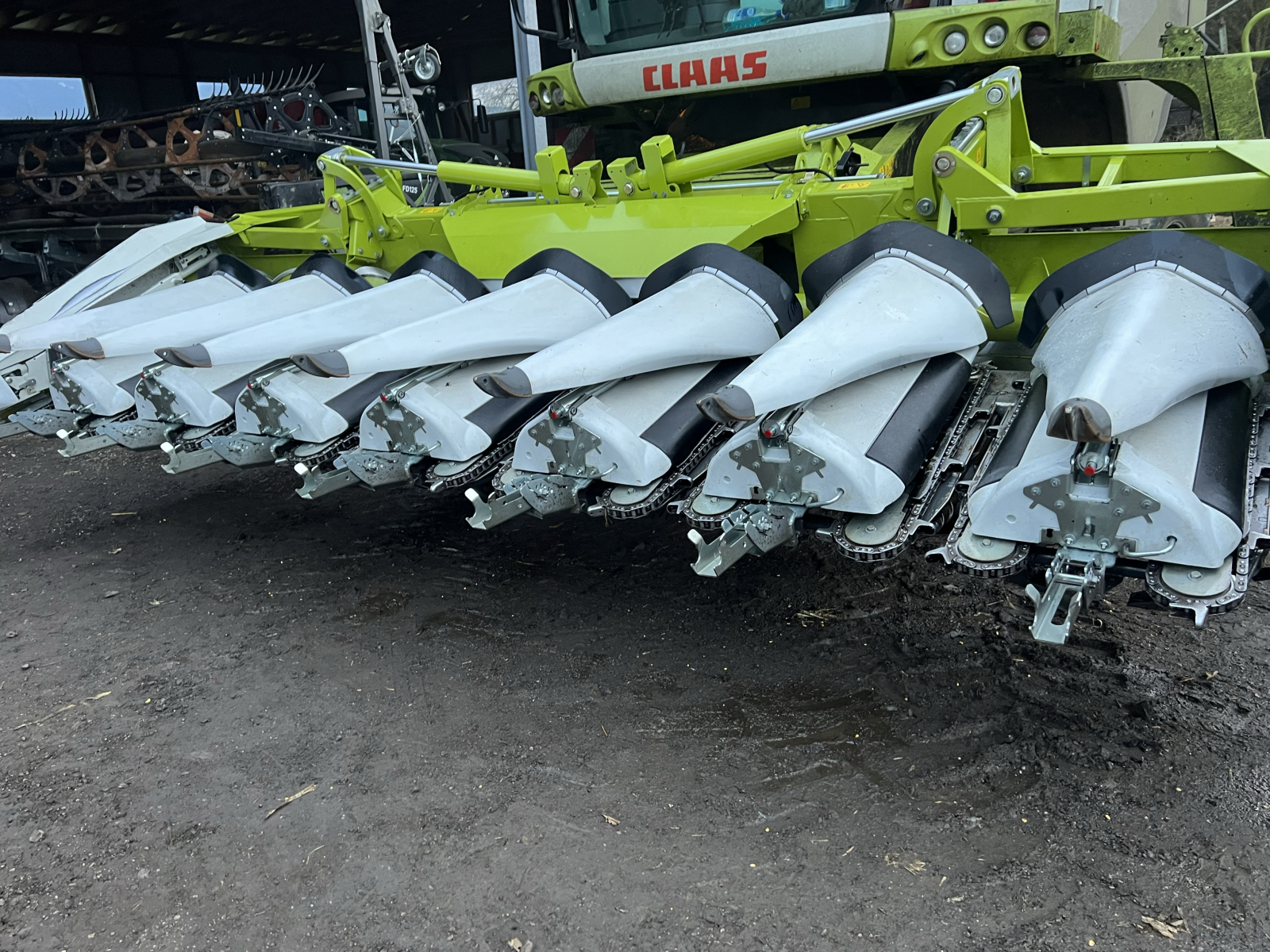 Maispflückvorsatz des Typs CLAAS Corio 870 FC Conspeed, Gebrauchtmaschine in Maria Rojach (Bild 4)