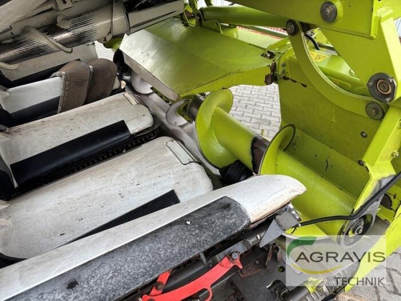 Maispflückvorsatz van het type CLAAS CORIO 875 FC CONSPEED, Gebrauchtmaschine in Meppen (Foto 13)