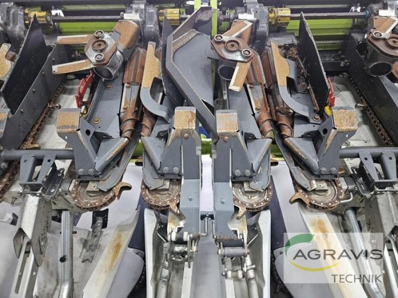 Maispflückvorsatz des Typs CLAAS CORIO 875 FC CONSPEED, Vorführmaschine in Meppen-Versen (Bild 5)