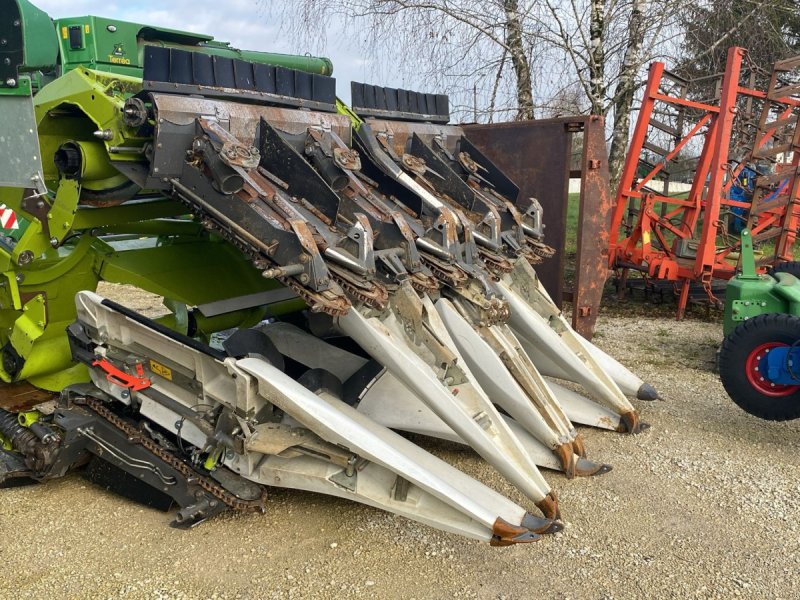 Maispflückvorsatz des Typs CLAAS Corio Conspeed 8-75 FC-HR zum Lexion, Gebrauchtmaschine in Oelde (Bild 1)