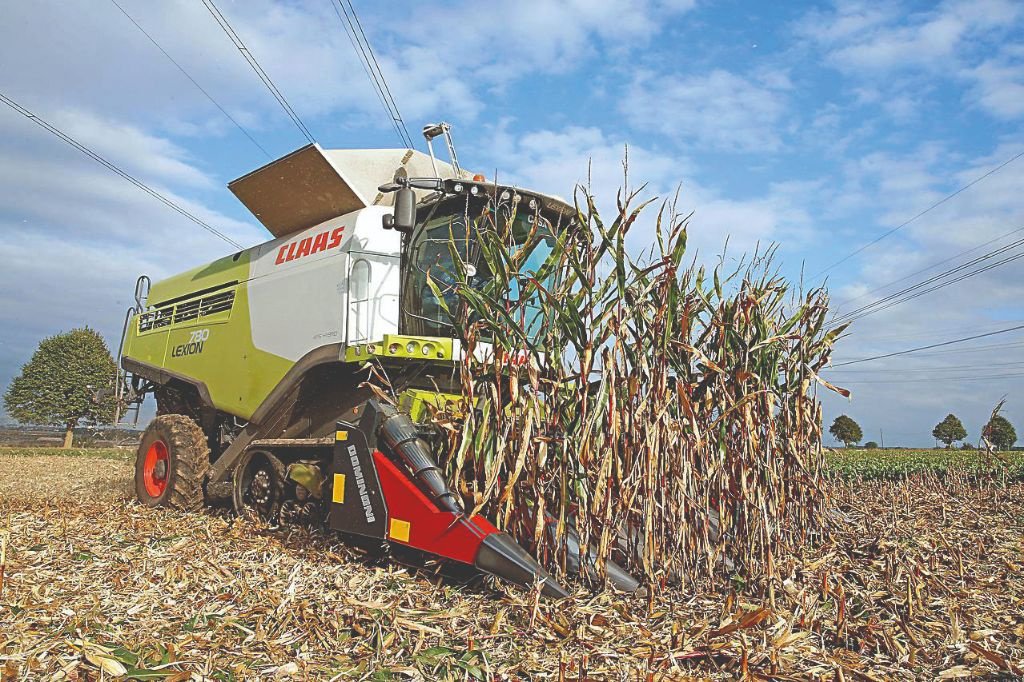 Maispflückvorsatz des Typs Dominoni 8 RANGS REPLIABLE BROYEUR 80cm, Gebrauchtmaschine in MARNAZ (Bild 1)