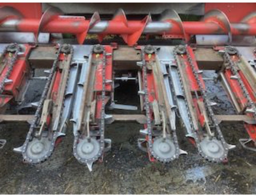 Maispflückvorsatz del tipo Dominoni SL 966, Gebrauchtmaschine In Baumgarten (Immagine 2)