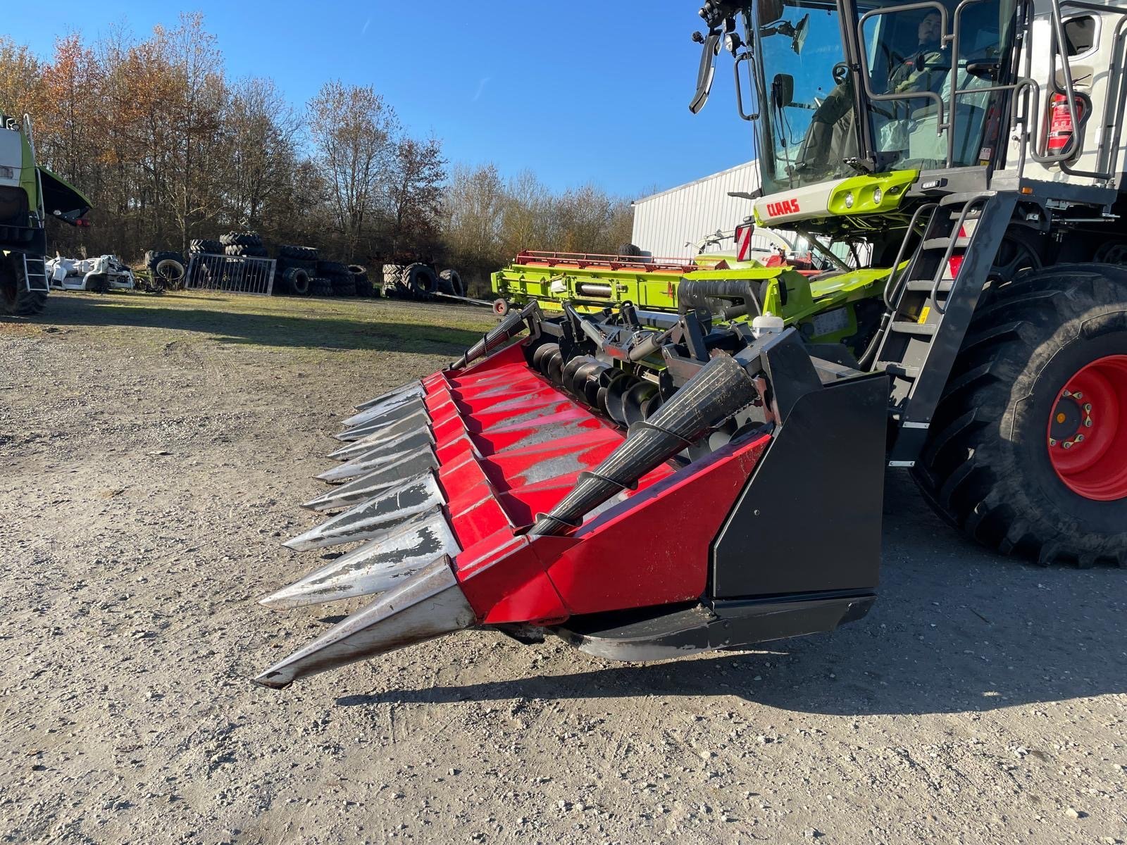 Maispflückvorsatz des Typs Dominoni SL968, Gebrauchtmaschine in L'Isle-en-Dodon (Bild 2)