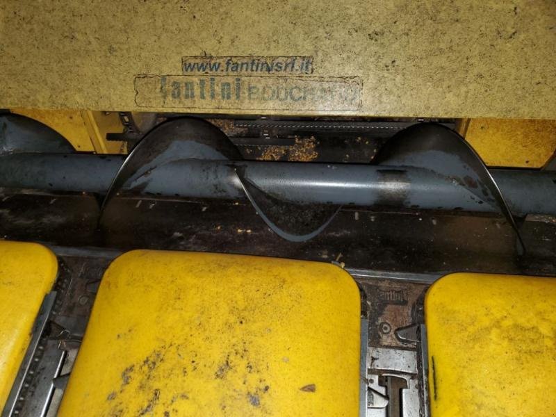 Maispflückvorsatz of the type Fantini L2, Gebrauchtmaschine in BRAY en Val (Picture 6)