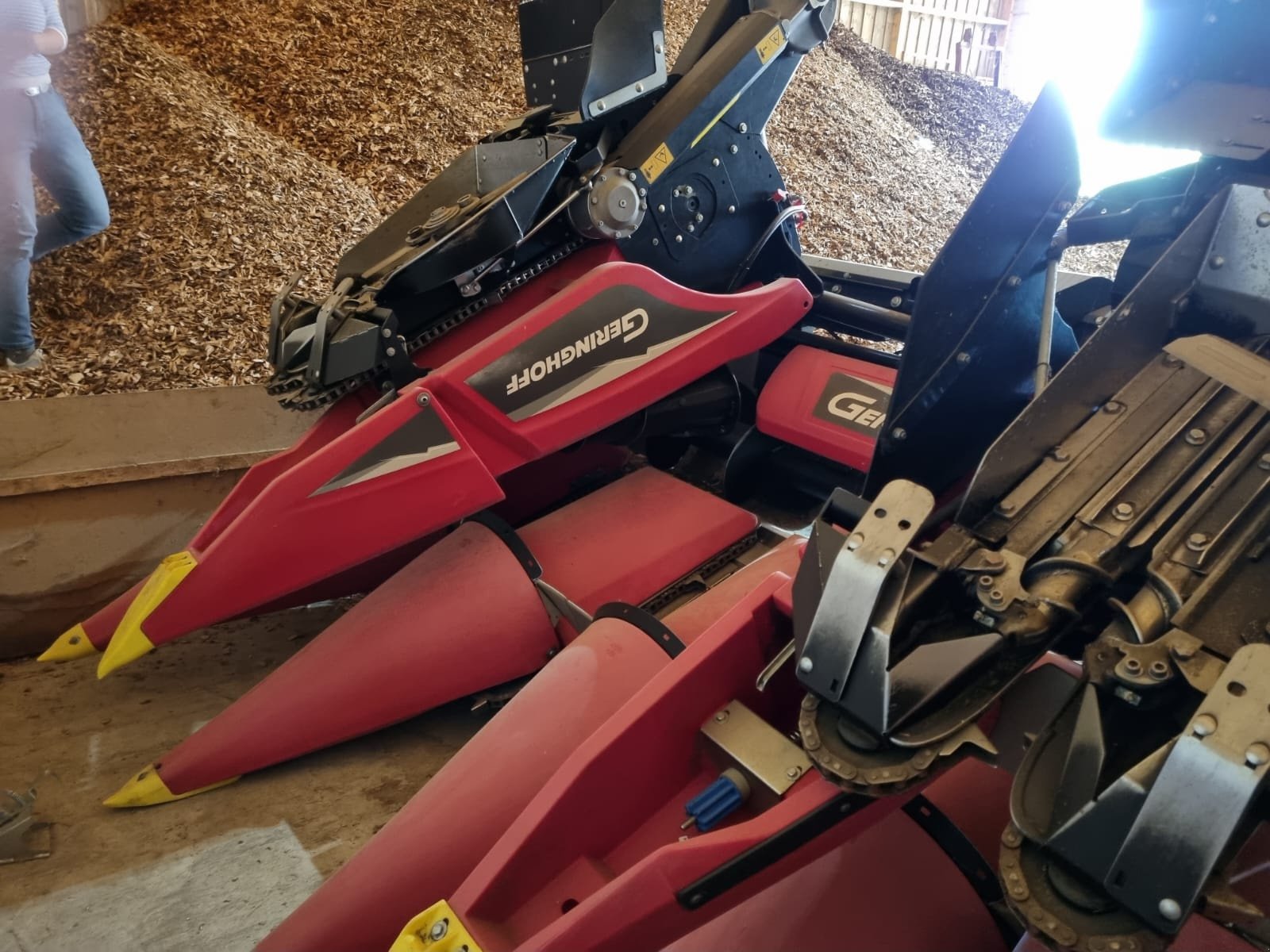 Maispflückvorsatz of the type Geringhoff 6-reihig, Gebrauchtmaschine in Geisenhausen (Picture 3)