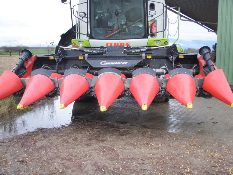 Maispflückvorsatz typu Geringhoff 6-reihig, Gebrauchtmaschine v Appenweier (Obrázek 1)