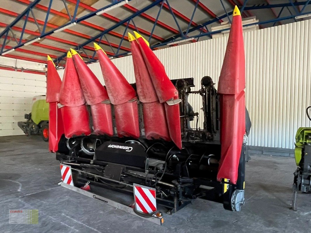 Maispflückvorsatz of the type Geringhoff HORIZON STAR HS 600 /F, 6-reiher, Maispflücker, CLAAS LEXION TUCANO, Gebrauchtmaschine in Molbergen (Picture 1)