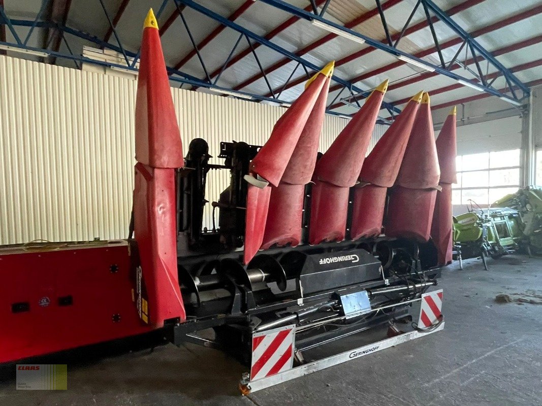 Maispflückvorsatz of the type Geringhoff HORIZON STAR HS 600 /F, 6-reiher, Maispflücker, CLAAS LEXION TUCANO, Gebrauchtmaschine in Molbergen (Picture 2)