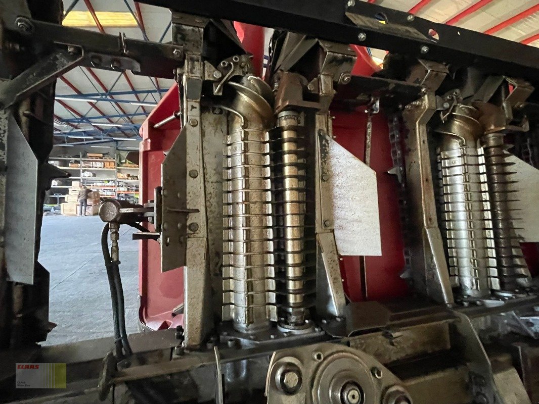 Maispflückvorsatz of the type Geringhoff HORIZON STAR HS 600 /F, 6-reiher, Maispflücker, CLAAS LEXION TUCANO, Gebrauchtmaschine in Molbergen (Picture 4)