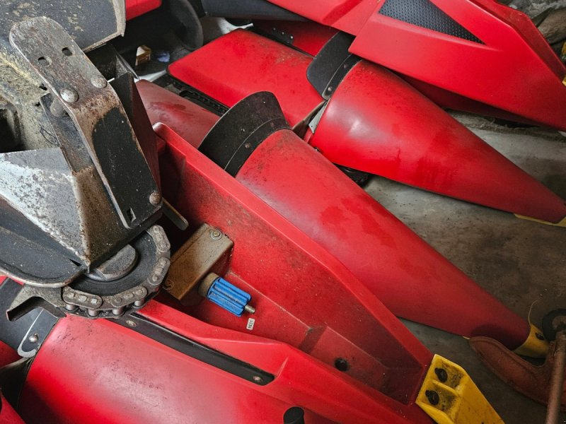 Maispflückvorsatz des Typs Geringhoff Horizon Star ll, Gebrauchtmaschine in Groß Gerungs (Bild 1)