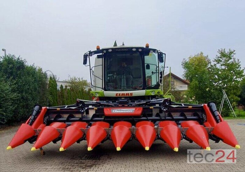 Maispflückvorsatz des Typs Geringhoff Mais Star - Horizon  800 FB, Neumaschine in Östringen (Bild 4)