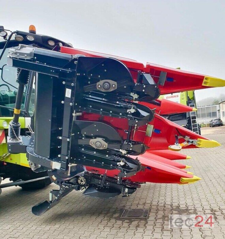 Maispflückvorsatz des Typs Geringhoff Mais Star - Horizon  800 FB, Neumaschine in Östringen (Bild 6)