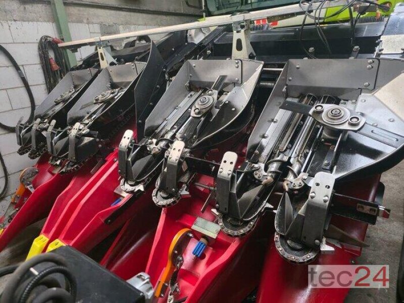 Maispflückvorsatz of the type Geringhoff Mais Star - Horizon ( MSH ) 800 FB, Vorführmaschine in Östringen (Picture 21)