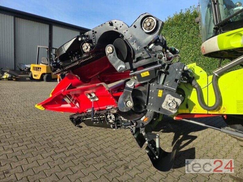 Maispflückvorsatz of the type Geringhoff Mais Star - Horizon ( MSH ) 800 FB, Vorführmaschine in Östringen (Picture 11)