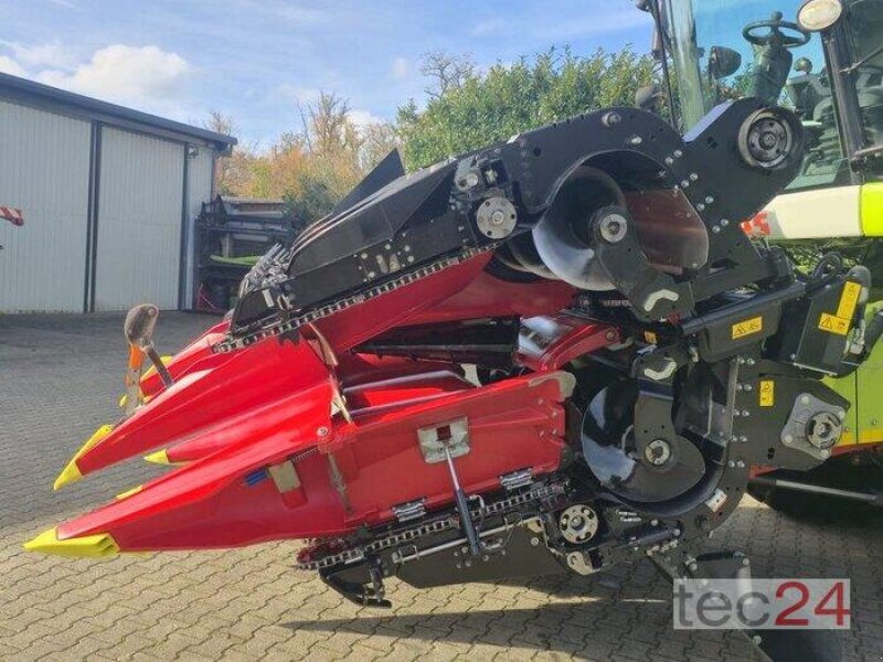 Maispflückvorsatz of the type Geringhoff Mais Star - Horizon ( MSH ) 800 FB, Vorführmaschine in Östringen (Picture 16)