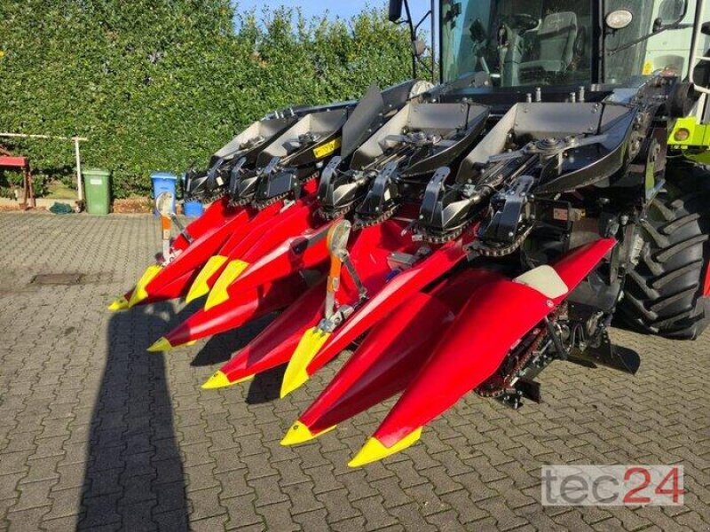 Maispflückvorsatz van het type Geringhoff Mais Star - Horizon ( MSH ) 800 FB, Vorführmaschine in Östringen (Foto 4)