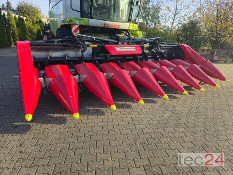 Maispflückvorsatz van het type Geringhoff Mais Star - Horizon ( MSH ) 800 FB, Vorführmaschine in Östringen (Foto 14)