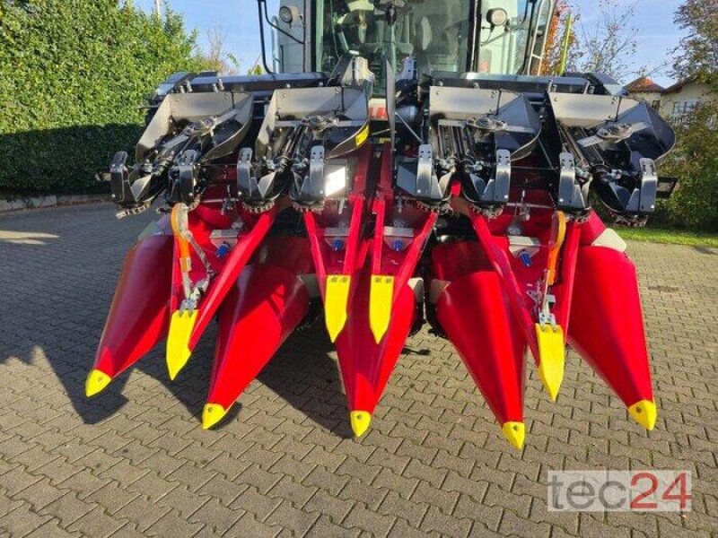 Maispflückvorsatz van het type Geringhoff Mais Star - Horizon ( MSH ) 800 FB, Vorführmaschine in Östringen (Foto 5)