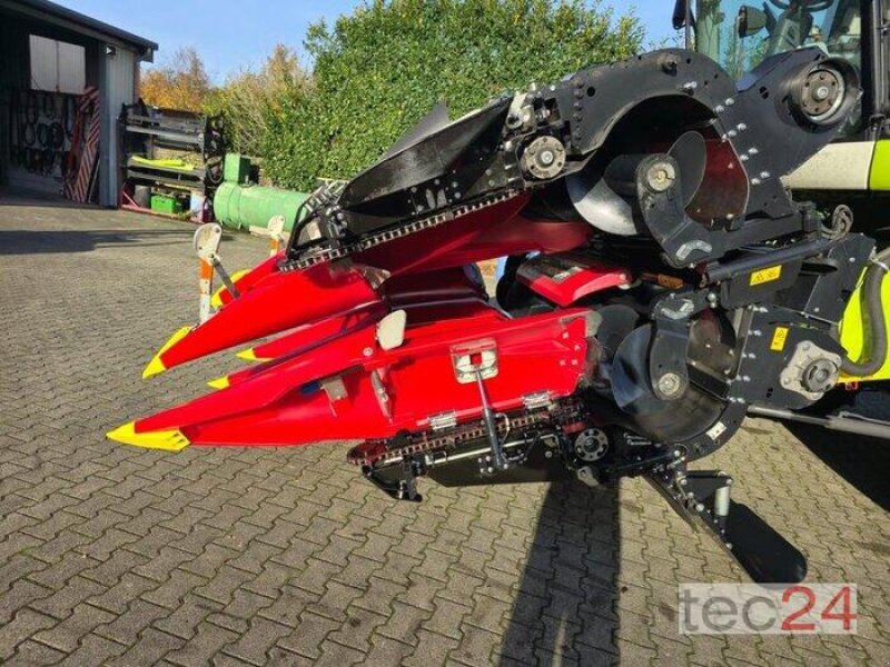 Maispflückvorsatz van het type Geringhoff Mais Star - Horizon ( MSH ) 800 FB, Vorführmaschine in Östringen (Foto 8)