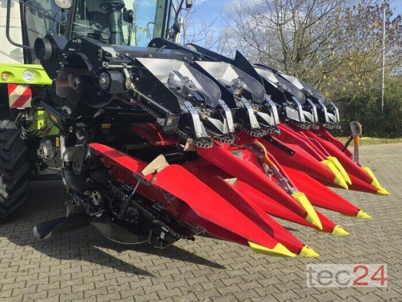 Maispflückvorsatz van het type Geringhoff Mais Star - Horizon ( MSH ) 800 FB, Vorführmaschine in Östringen (Foto 15)