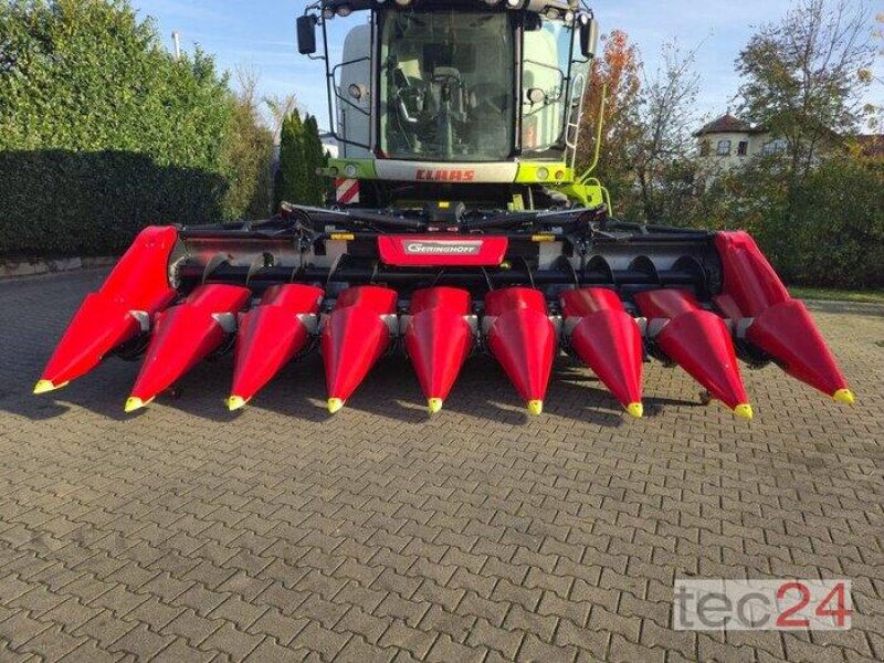 Maispflückvorsatz van het type Geringhoff Mais Star - Horizon ( MSH ) 800 FB, Vorführmaschine in Östringen (Foto 1)