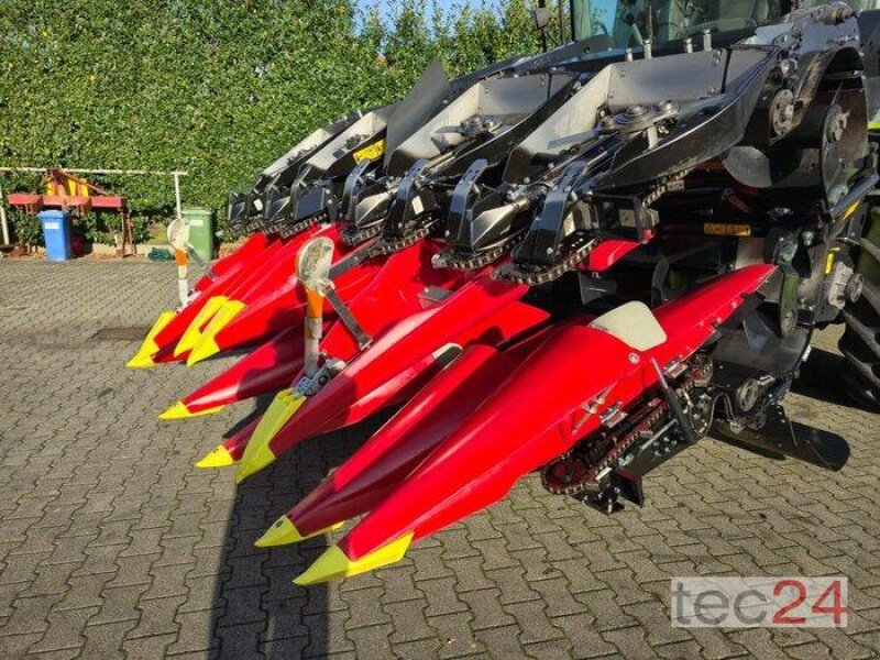 Maispflückvorsatz van het type Geringhoff Mais Star - Horizon ( MSH ) 800 FB, Vorführmaschine in Östringen (Foto 2)