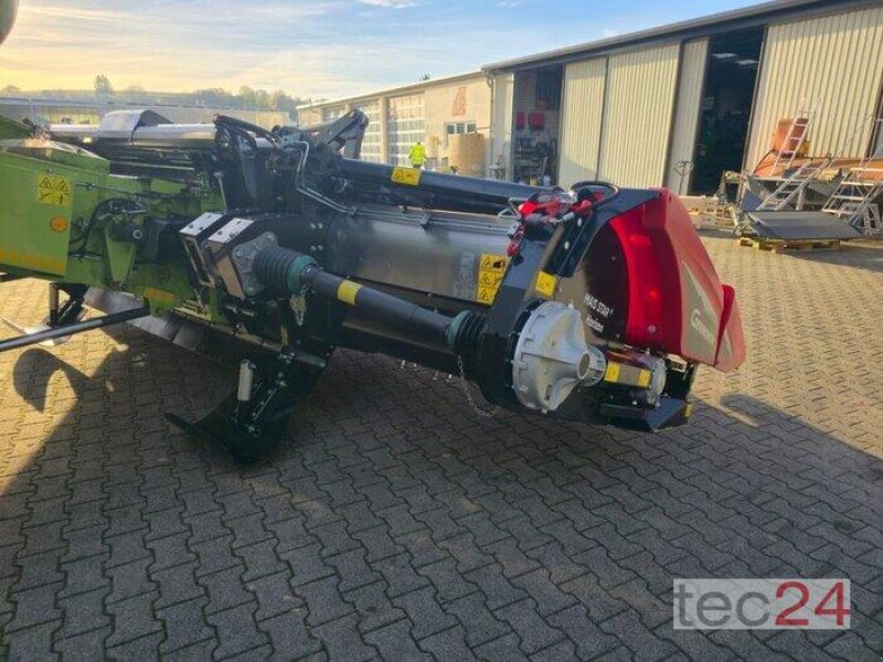 Maispflückvorsatz van het type Geringhoff Mais Star - Horizon ( MSH ) 800 FB, Vorführmaschine in Östringen (Foto 11)