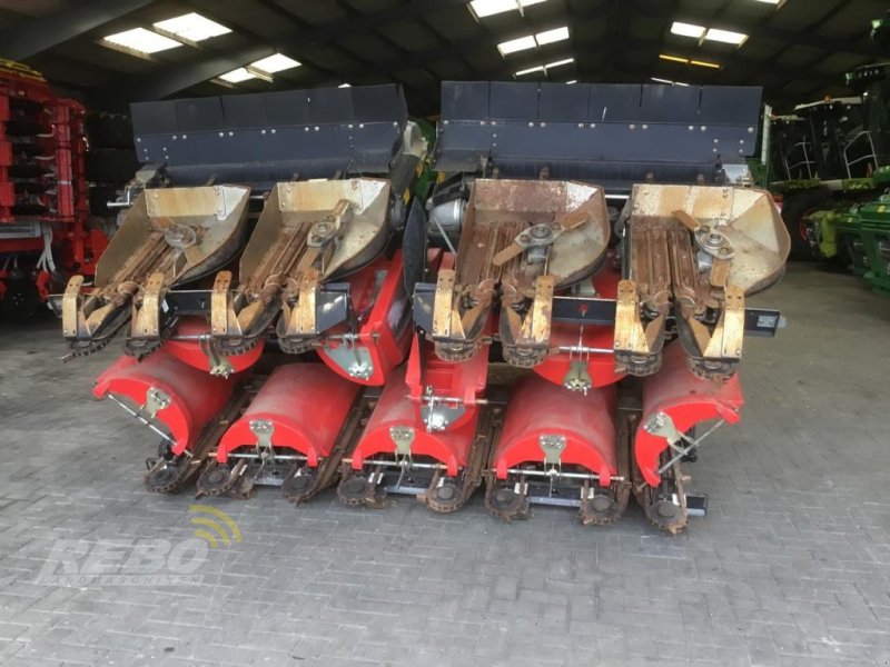 Geringhoff MS-Horizon 800 FB, Gebrauchtmaschine, Rok výroby: 2020 (Obrázek 1) Maispflückvorsatz typu Geringhoff MS-Horizon 800 FB, Gebrauchtmaschine v Visbek/Rechterfeld (Obrázek 1)