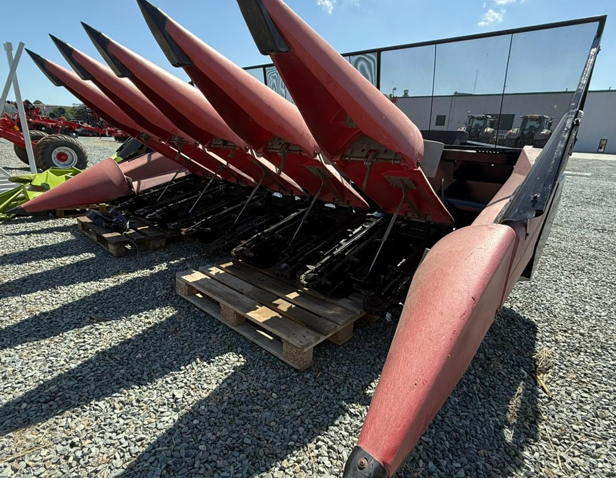 Maispflückvorsatz of the type Geringhoff PCA 600, Gebrauchtmaschine in Orţişoara (Picture 1)