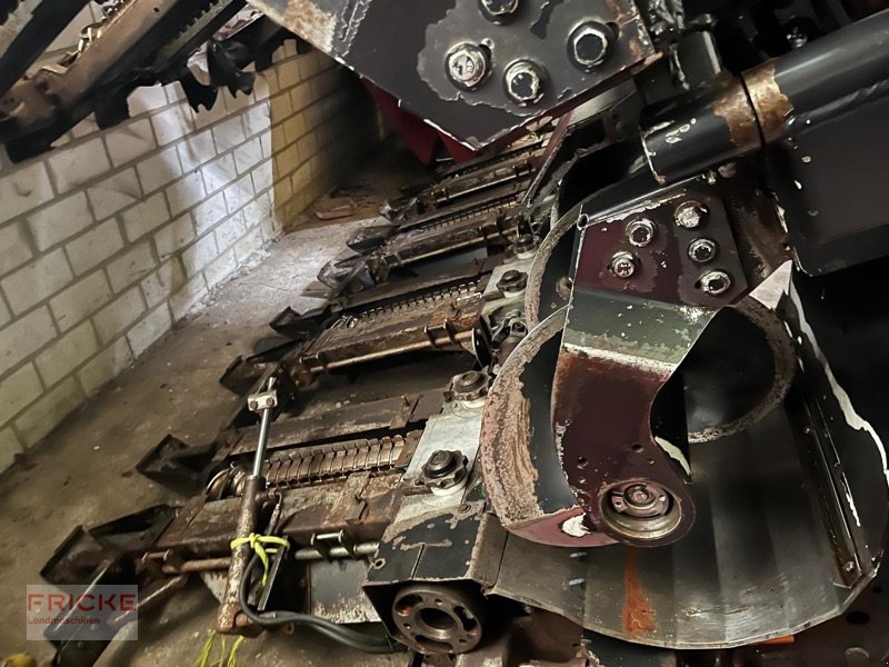 Maispflückvorsatz of the type Geringhoff RD SC 800 FB für Claas, Gebrauchtmaschine in Bockel - Gyhum (Picture 5)