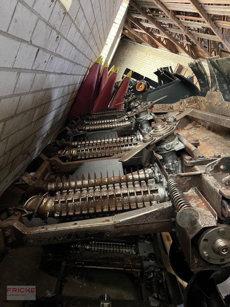 Maispflückvorsatz of the type Geringhoff RD SC 800 FB für Claas, Gebrauchtmaschine in Bockel - Gyhum (Picture 7)