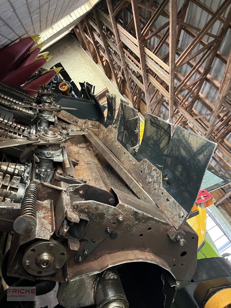 Maispflückvorsatz of the type Geringhoff RD SC 800 FB für Claas, Gebrauchtmaschine in Bockel - Gyhum (Picture 8)