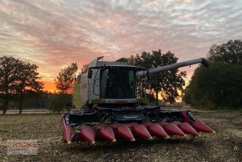 Maispflückvorsatz of the type Geringhoff RD SC 800 FB für Claas, Gebrauchtmaschine in Bockel - Gyhum (Picture 2)