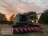 Maispflückvorsatz of the type Geringhoff RD SC 800 FB für Claas, Gebrauchtmaschine in Bockel - Gyhum (Picture 2)