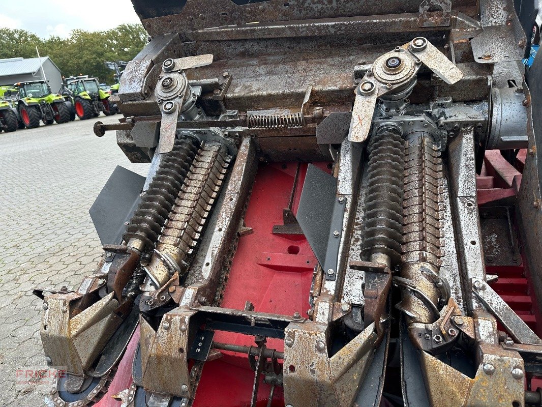 Maispflückvorsatz of the type Geringhoff RD SC 800 FB für Claas, Gebrauchtmaschine in Bockel - Gyhum (Picture 16)
