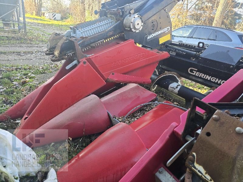 Maispflückvorsatz του τύπου Geringhoff Rota Disc 675, Gebrauchtmaschine σε Burg/Spreewald (Φωτογραφία 8)