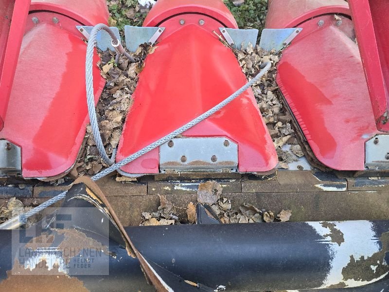 Maispflückvorsatz του τύπου Geringhoff Rota Disc 675, Gebrauchtmaschine σε Burg/Spreewald (Φωτογραφία 11)